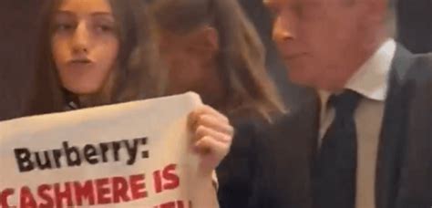 burberry protest|Breaking: PETA Interrupts Burberry’s Annual Meeting Over .